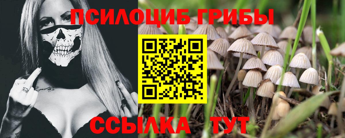 Галлюциногенные грибы мицелий  Вход с VPN  Зерноград 